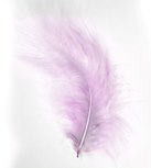 17 cm Lilac