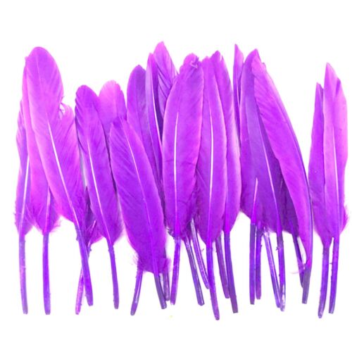 Lilac Duck Feathers