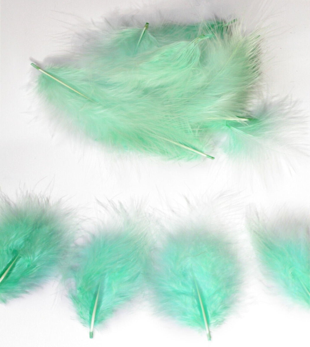 Mint Mini Marabou Feathers 3-8 cm