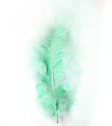 Marabou Feathers - 20 Per Pack - 12cm - 17 cm Mint