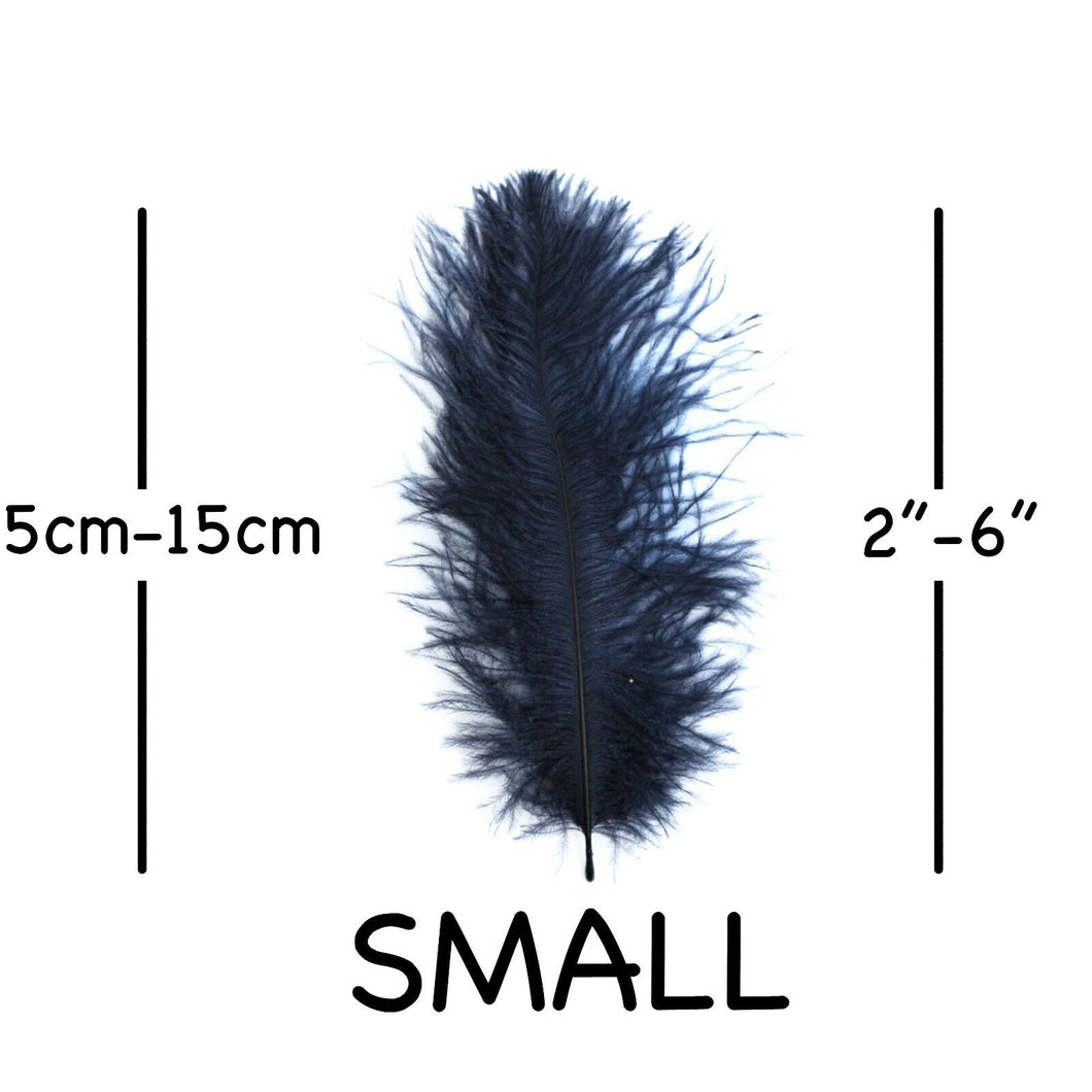 Navy Blue Ostrich Feathers 2