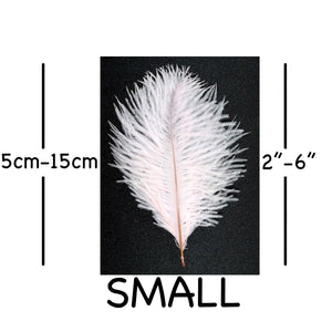 Pale Pink Ostrich Feathers 2" - 6"
