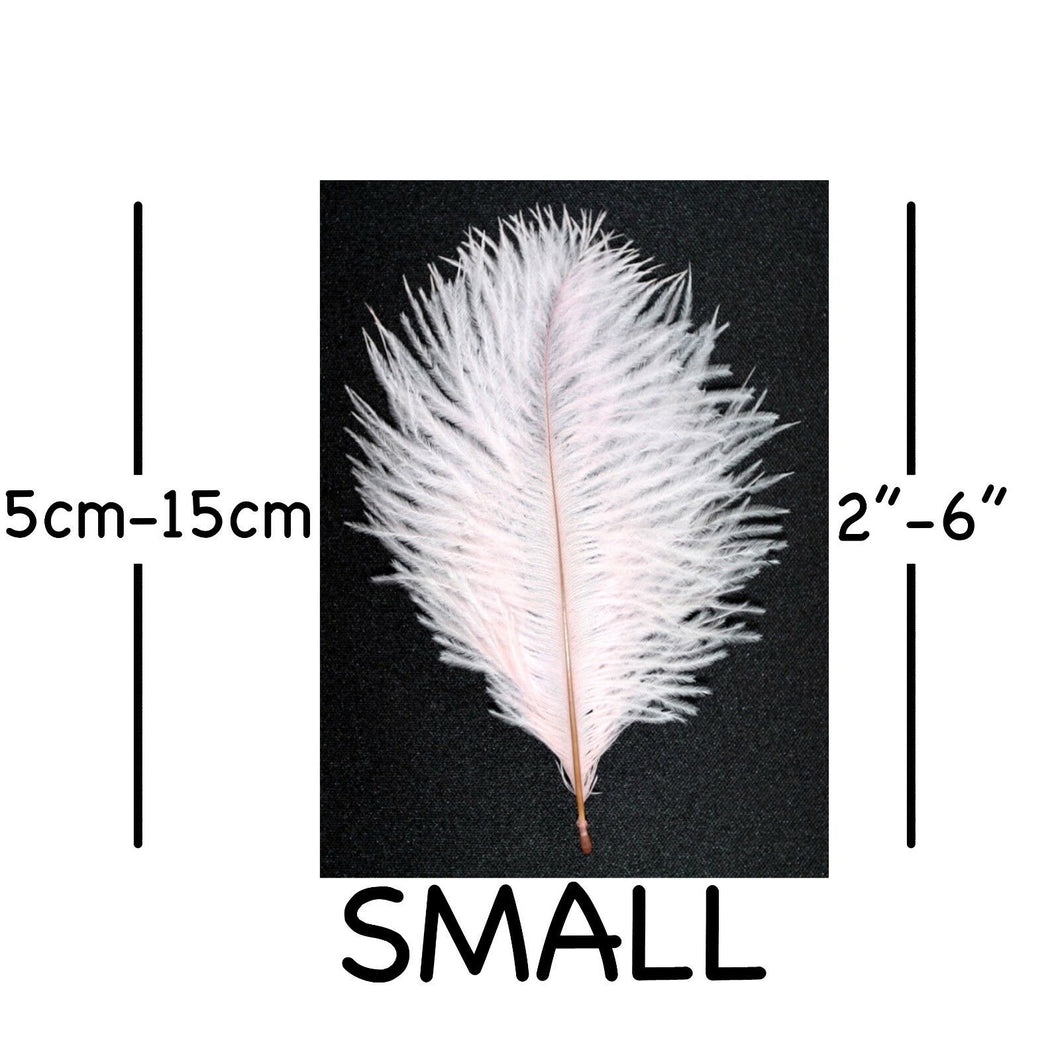 Pale Pink Ostrich Feathers 2