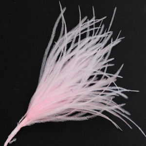 Pale Pink Wisps Ostrich Feathers