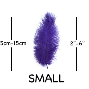 Purple Ostrich Feathers 2" - 6"