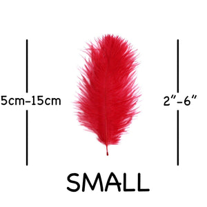 Red Ostrich Feathers 2" - 6"