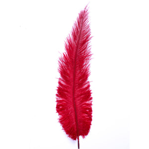 Diamante Crafts Ostrich Feathers 10" - 12" / 25cm- 30cm - Plume Fluffy - Red