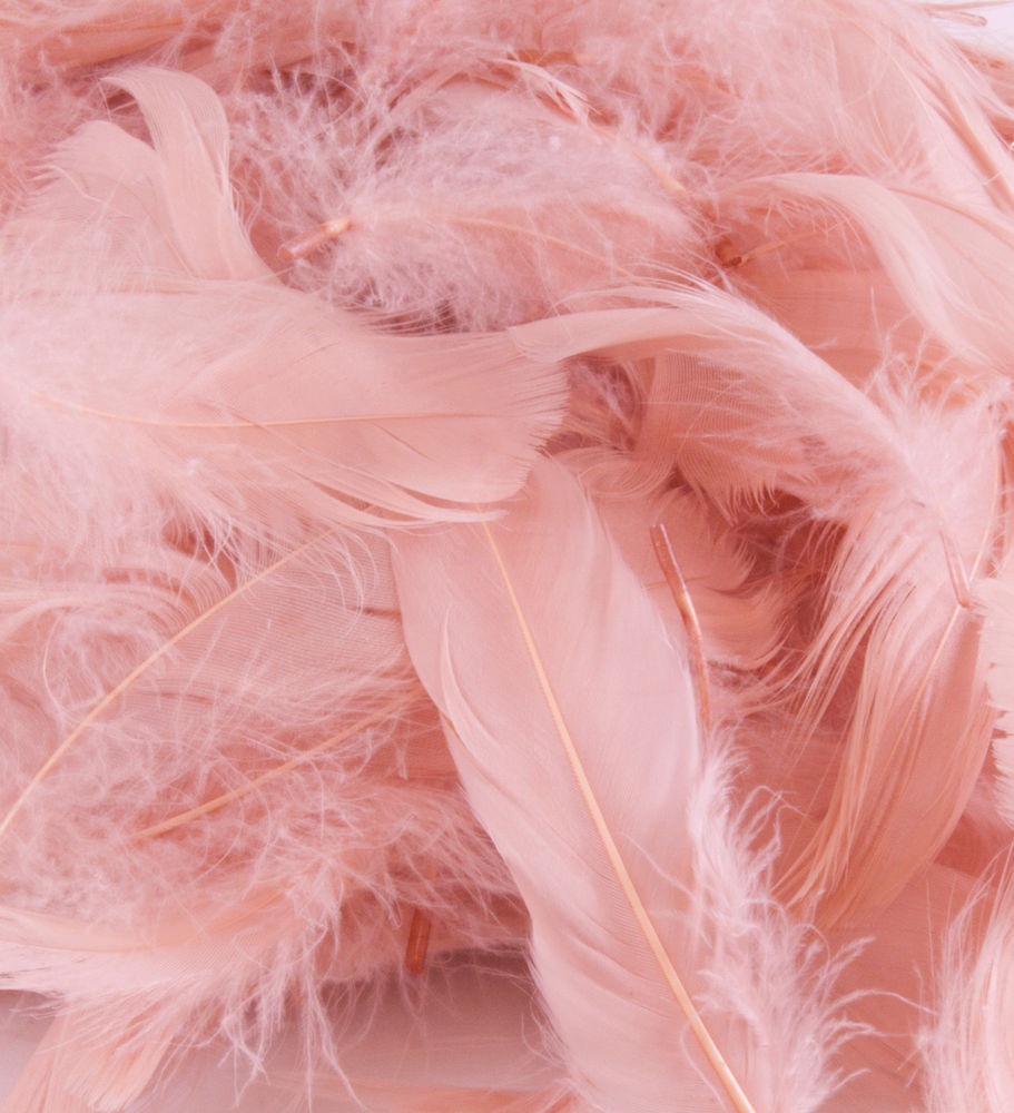 Rose Gold Marabou Feathers 8 - 13 cm