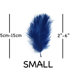 Royal Blue Ostrich Feathers 2" - 6"