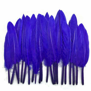 Royal Blue  Duck Feathers