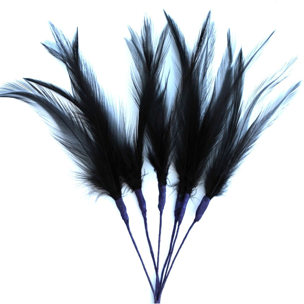 Black Narrow Feathers