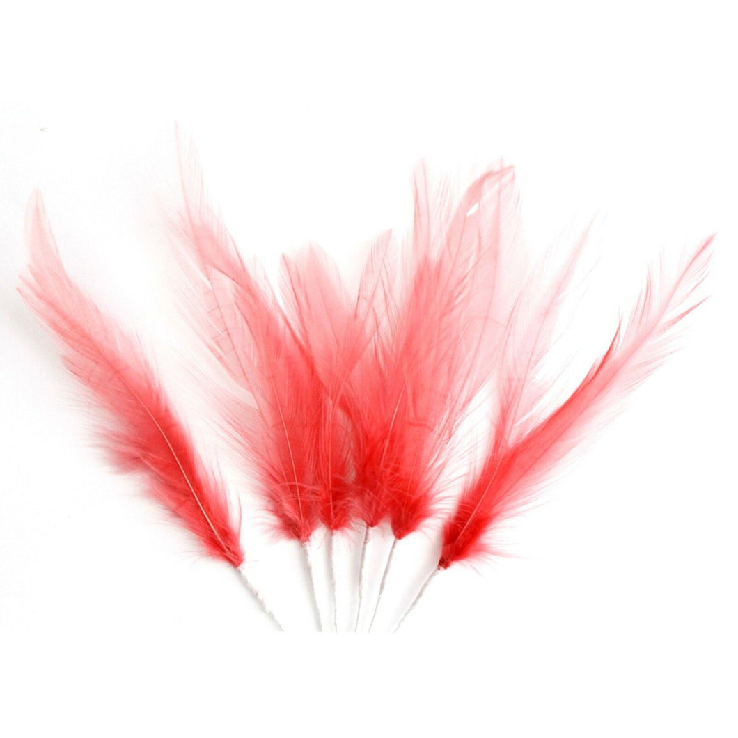 Coral Narrow Feathers