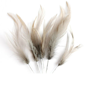 Grey Narrow Feathers