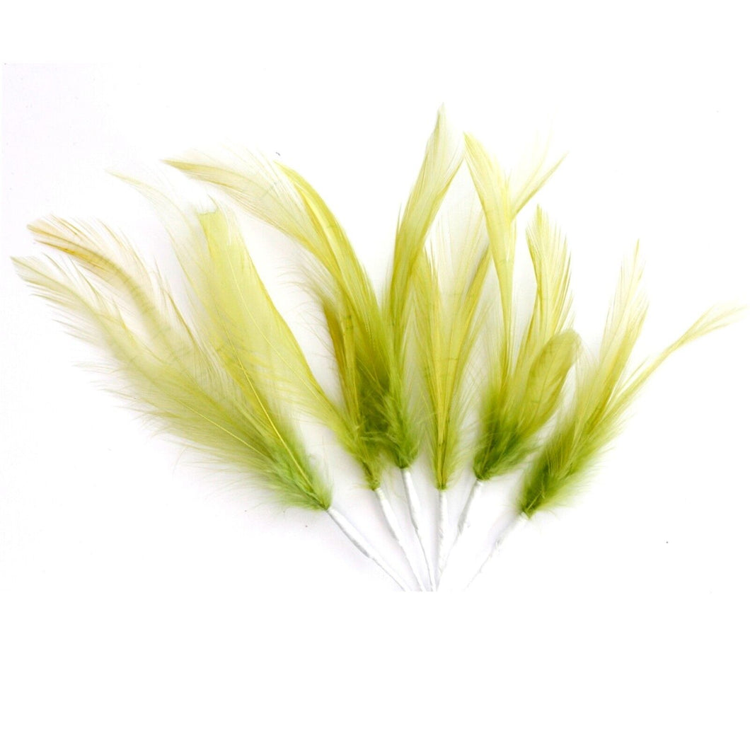 Lime Narrow Feathers