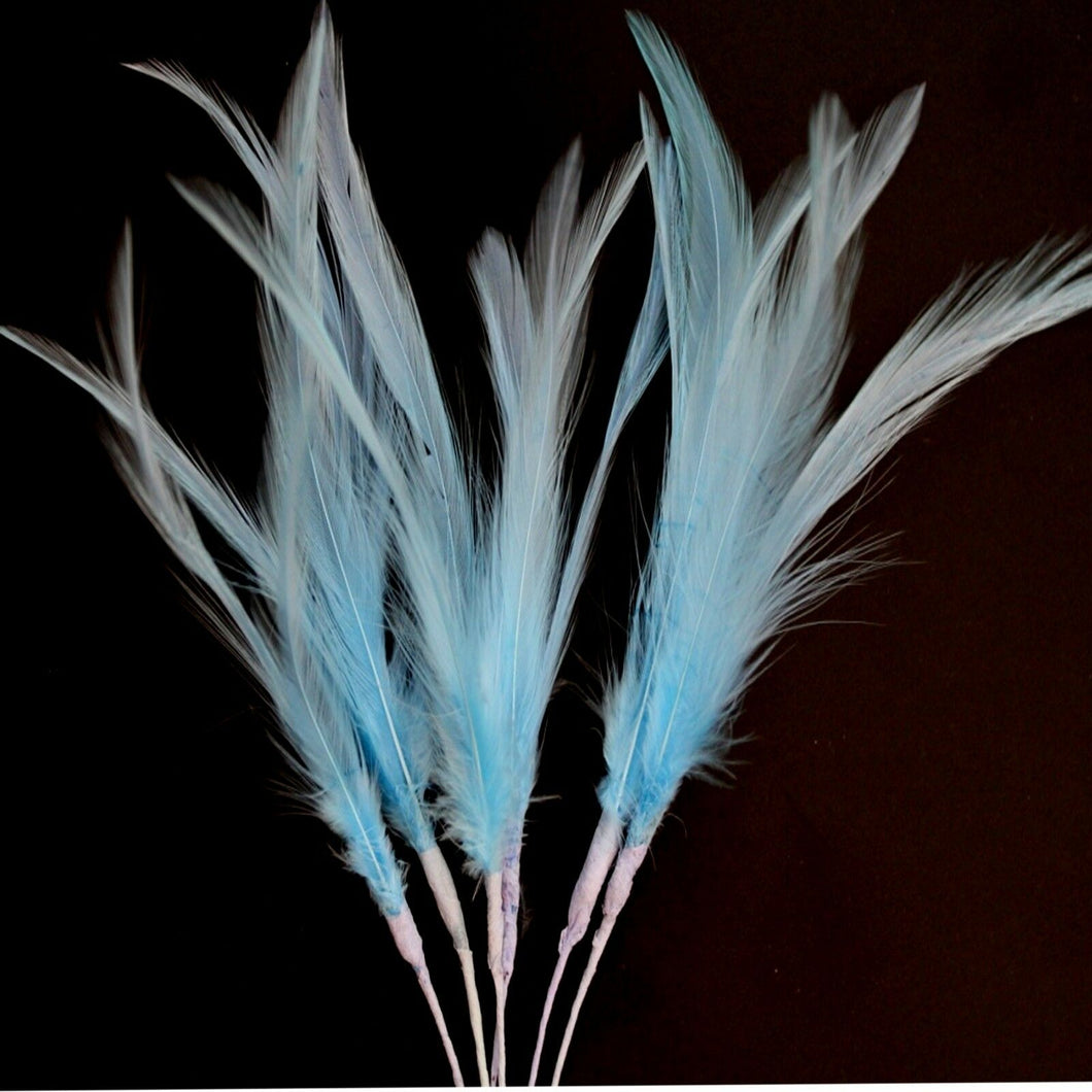 Pale Blue Narrow Feathers