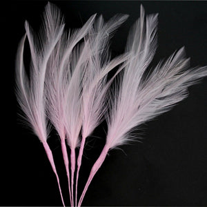 Pale Pink Narrow Feathers