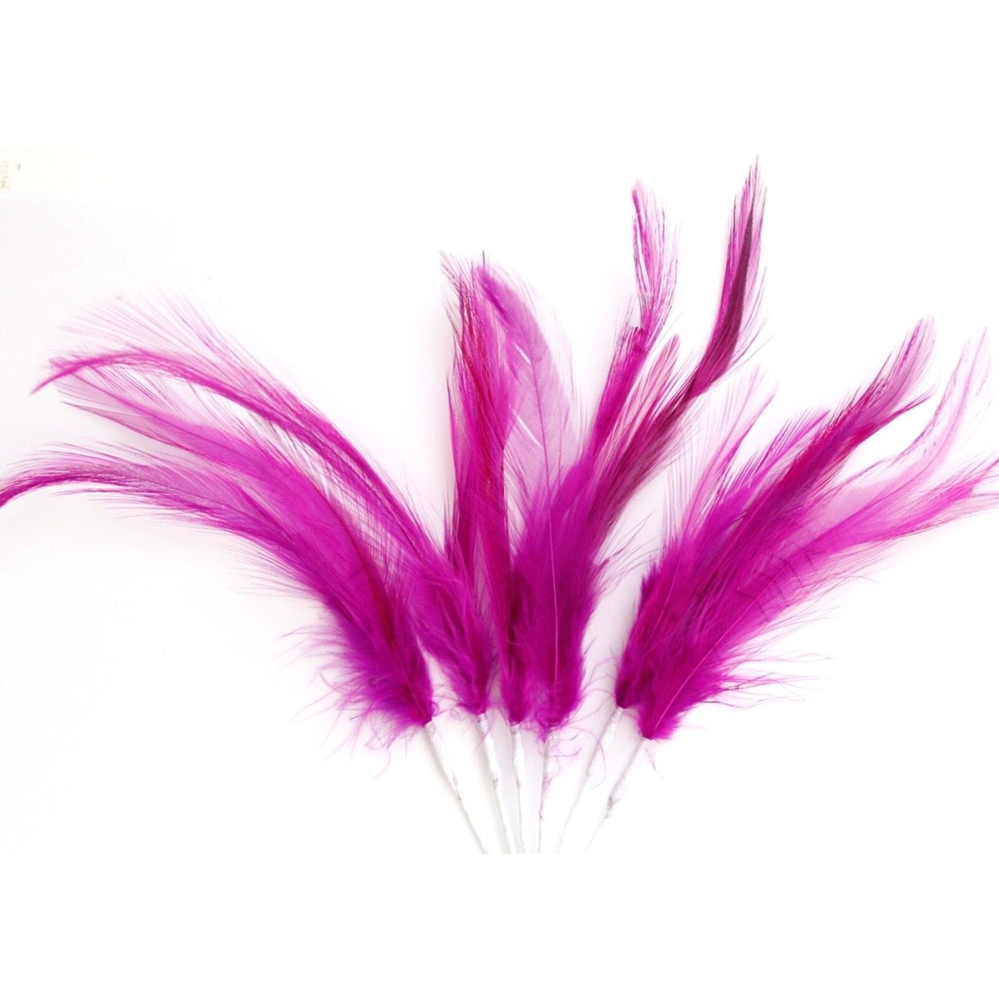 Plum Narrow Feathers