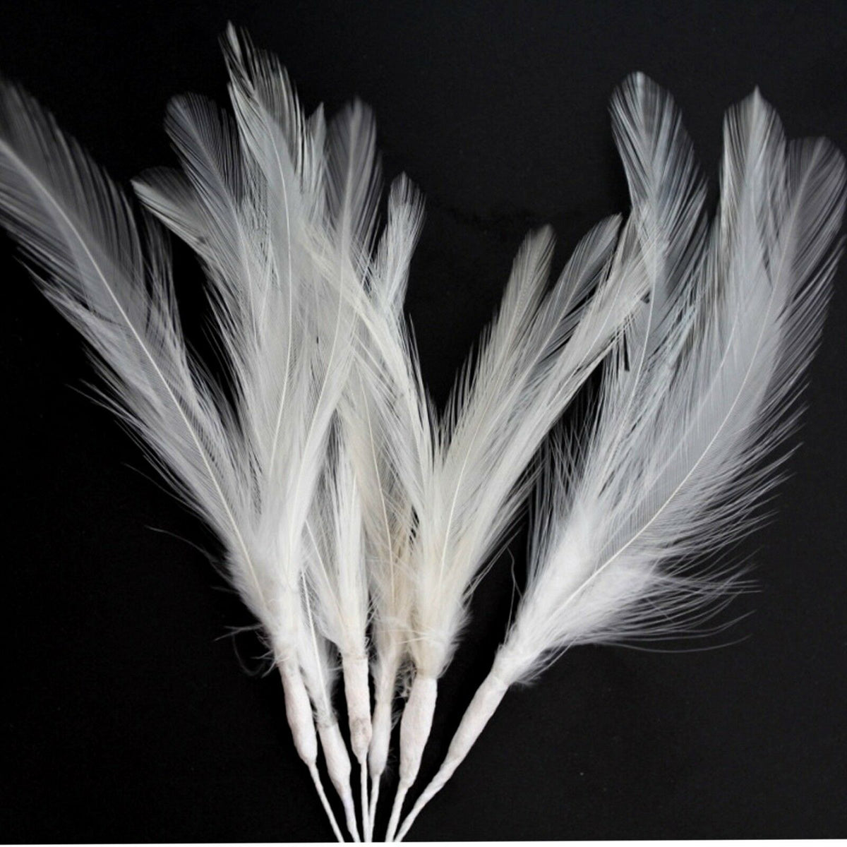 White Narrow Feathers – Diamante Crafts