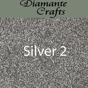 100 Grams Glitter Ultra Fine - Silver 2 - 4881