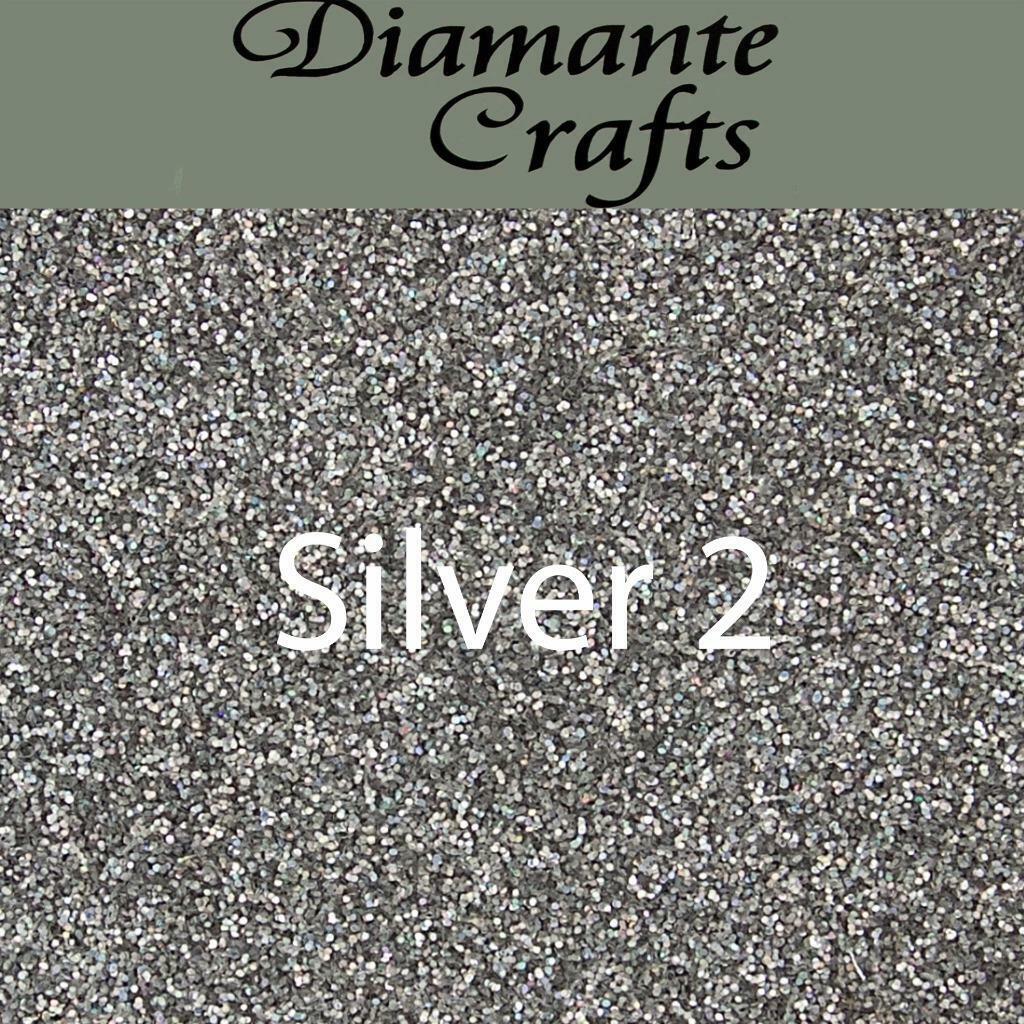 100 Grams Glitter Ultra Fine - Silver 2 - 4881