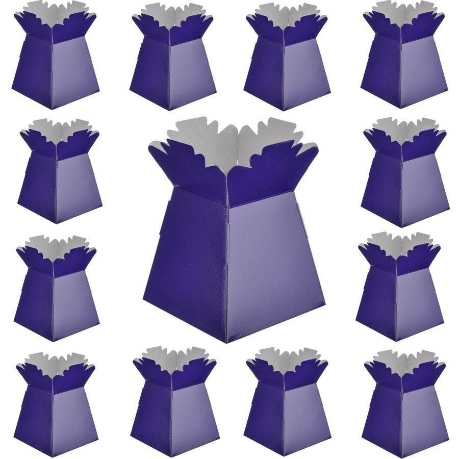 1 x Purple