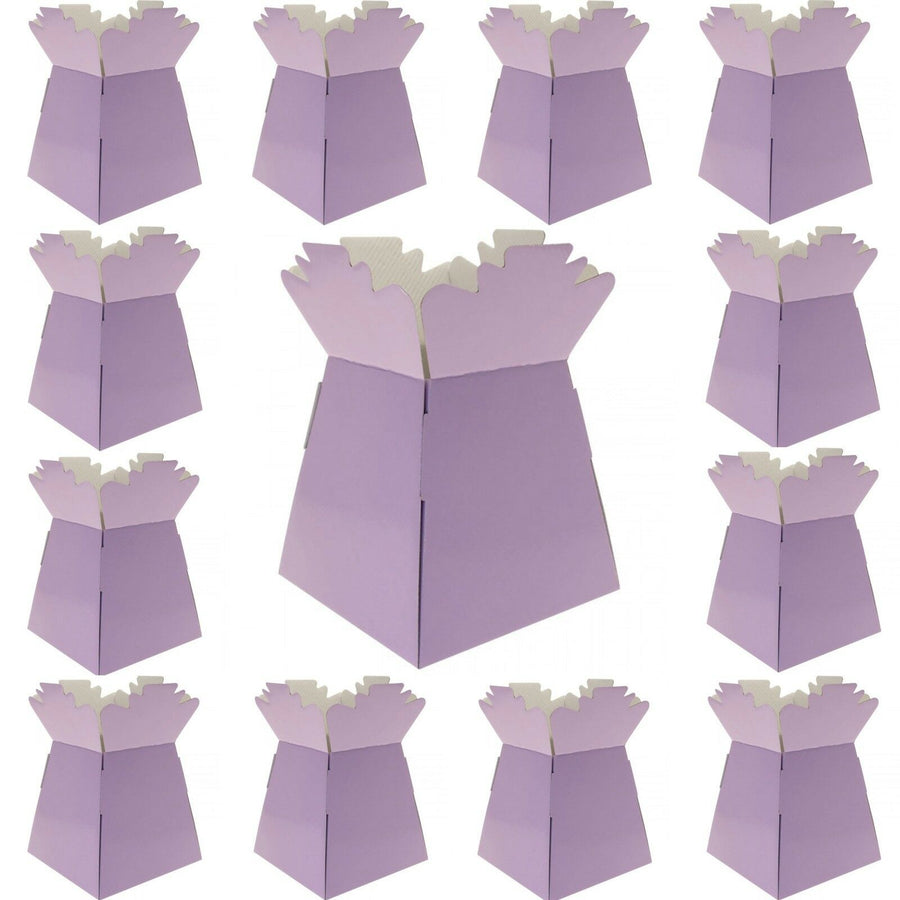 1 x Lilac