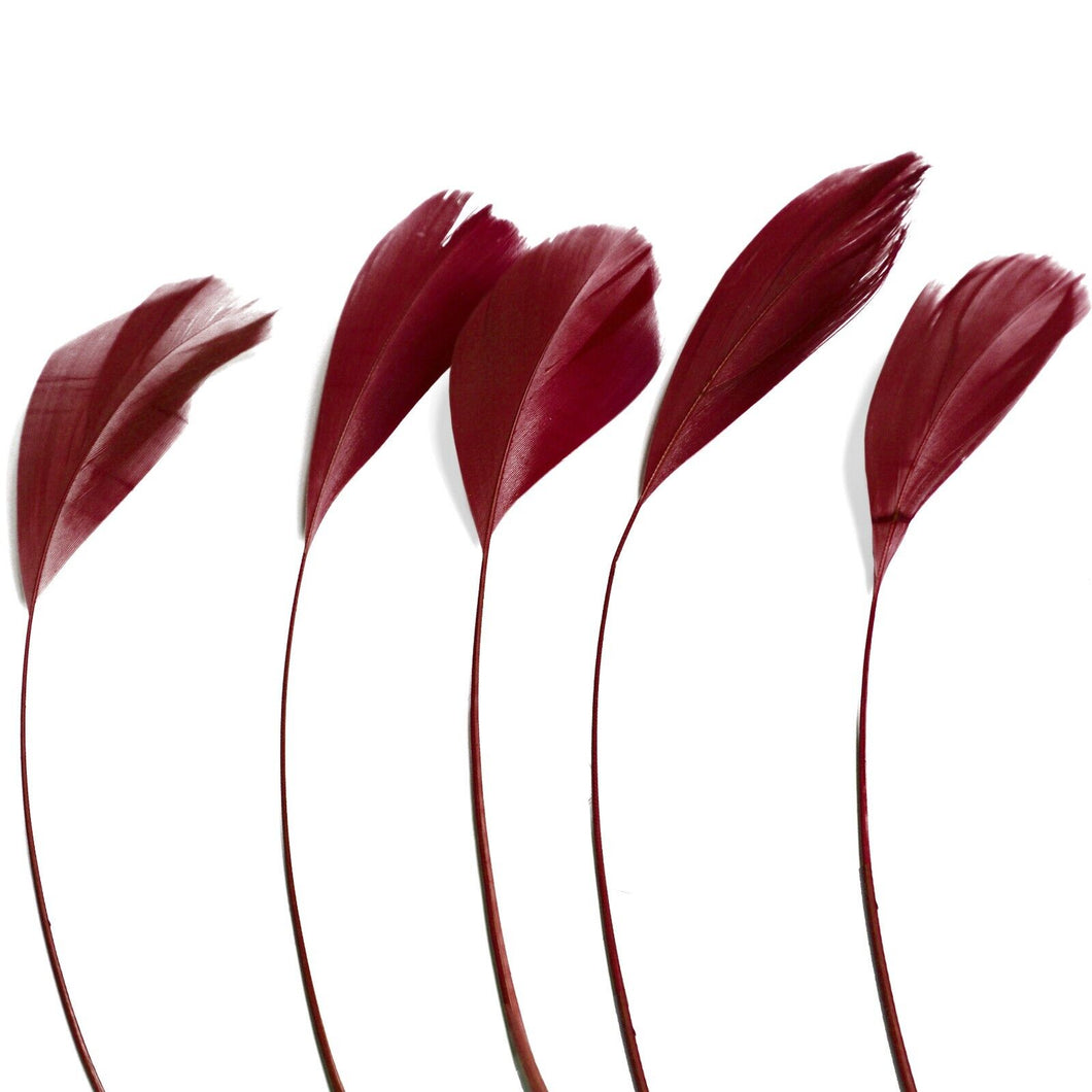Burgundy Stripped Coque Feathers