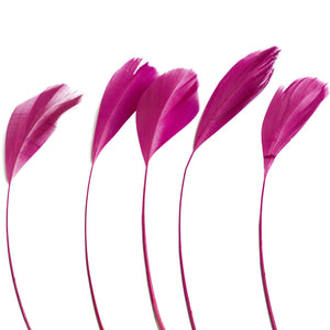 Cerise Stripped Coque Feathers