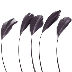 Dark Grey Stripped Coque Feathers