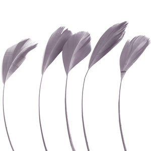 Light Grey Stripped Coque Feathers