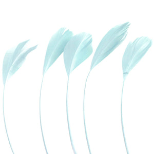 Pale Blue Stripped Coque Feathers