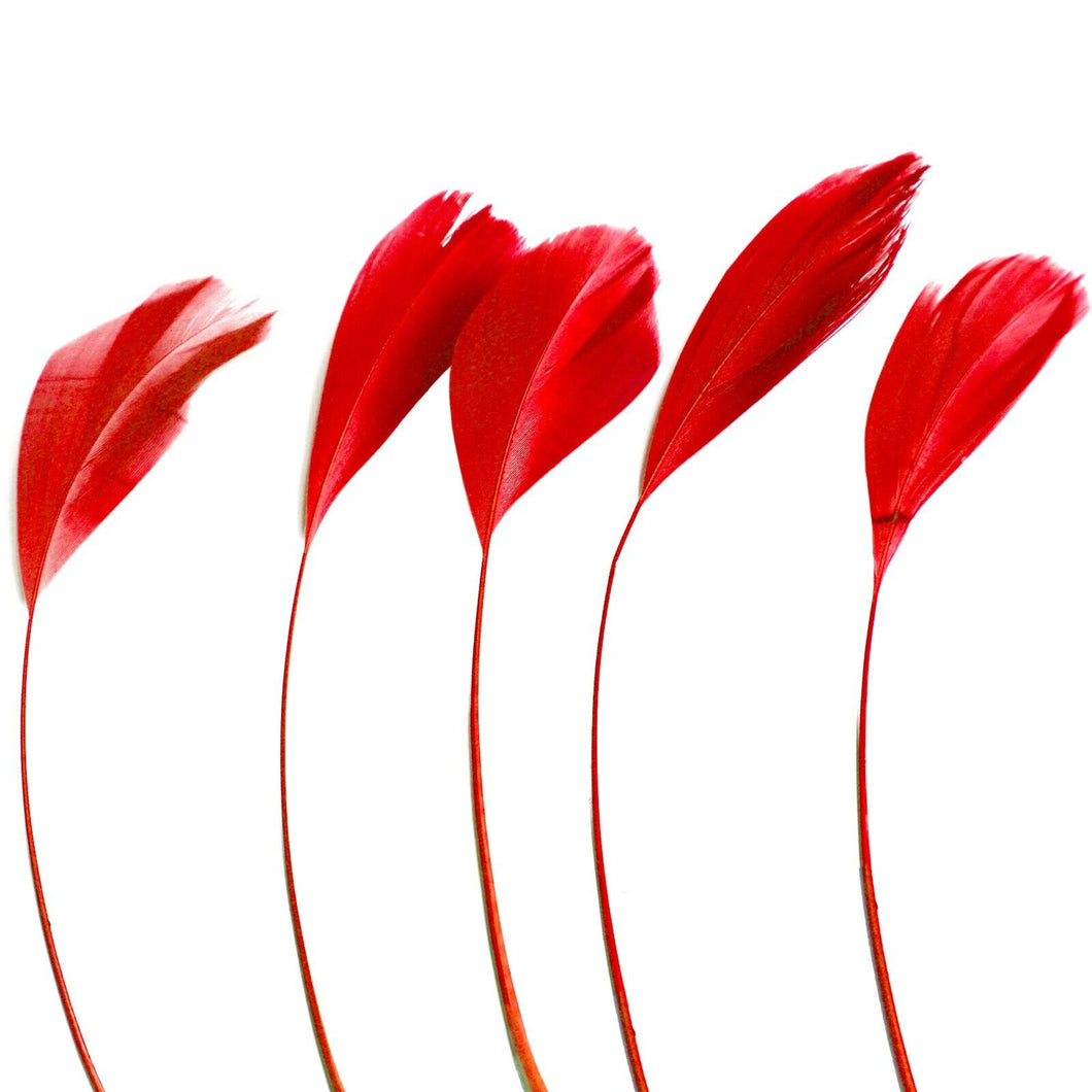 Red Stripped Coque Feathers