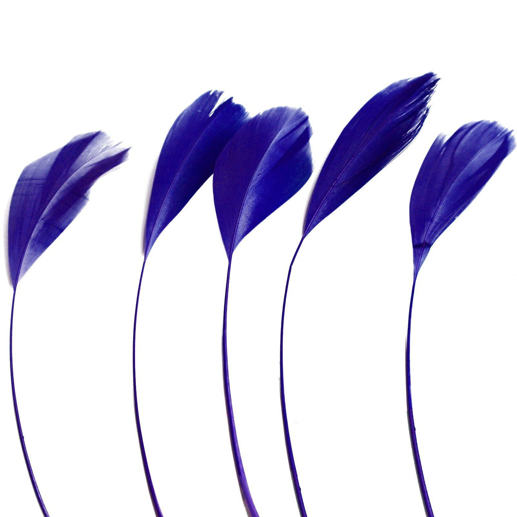 Royal Blue Stripped Coque Feathers
