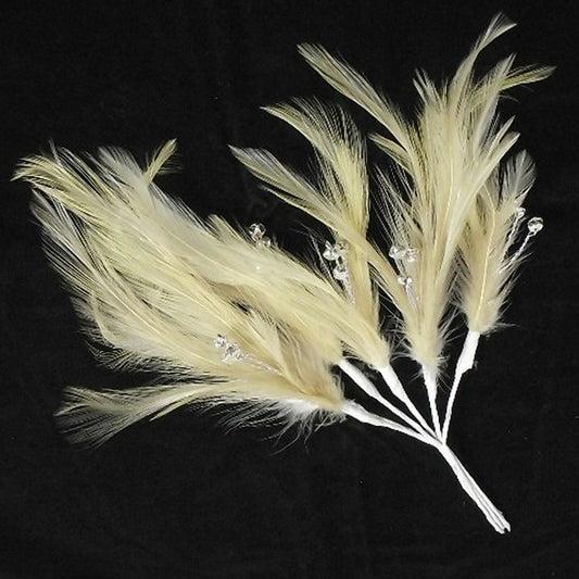 Champagne Diamante Feather