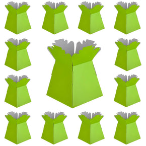 1 x Lime Green
