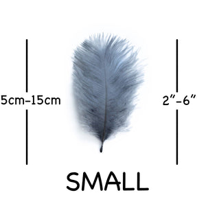 Silver / Grey Ostrich Feathers 2" - 6"