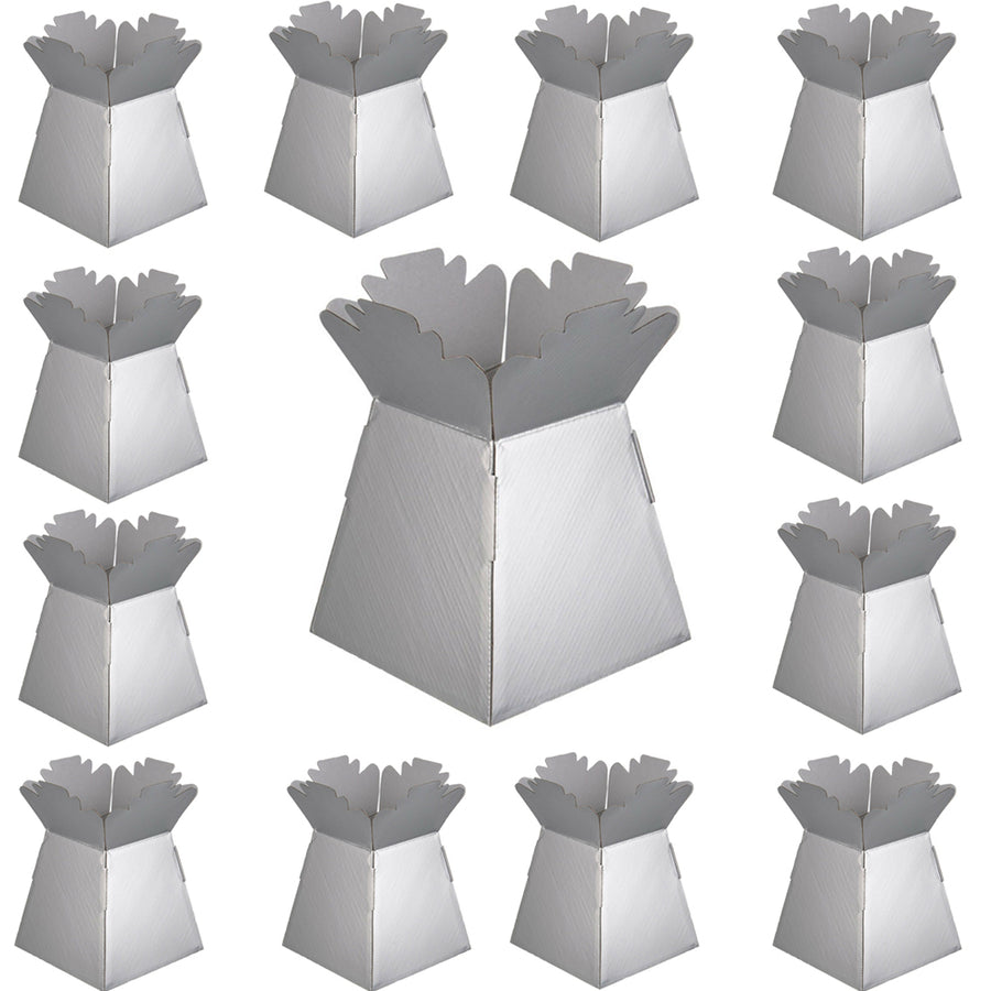 1 x Silver