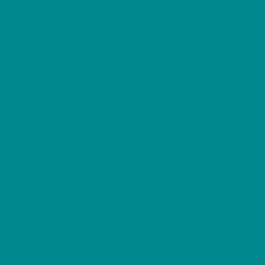 A4 Vinyl Sheets Siser EasyWeed - Teal