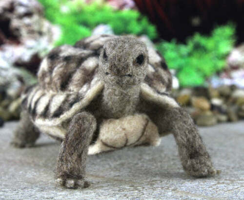 Toto The Tortoise - Needle Felting Kit - World of Wool