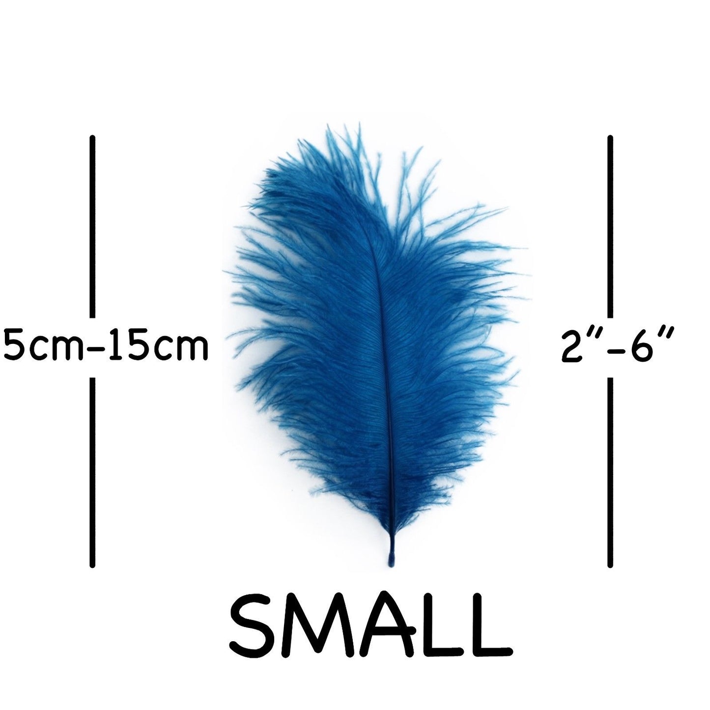 Turquoise Ostrich Feathers 2" - 6"