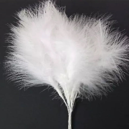 White fluff feather
