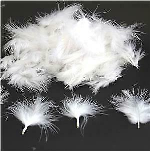 White Mini Marabou Feathers 3-8 cm