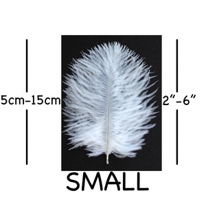 White Ostrich Feathers 2" - 6"