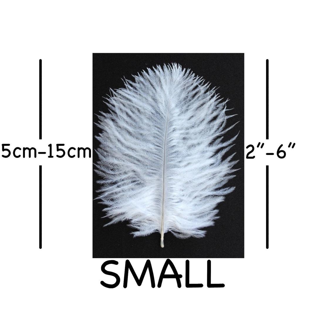 White Ostrich Feathers 2