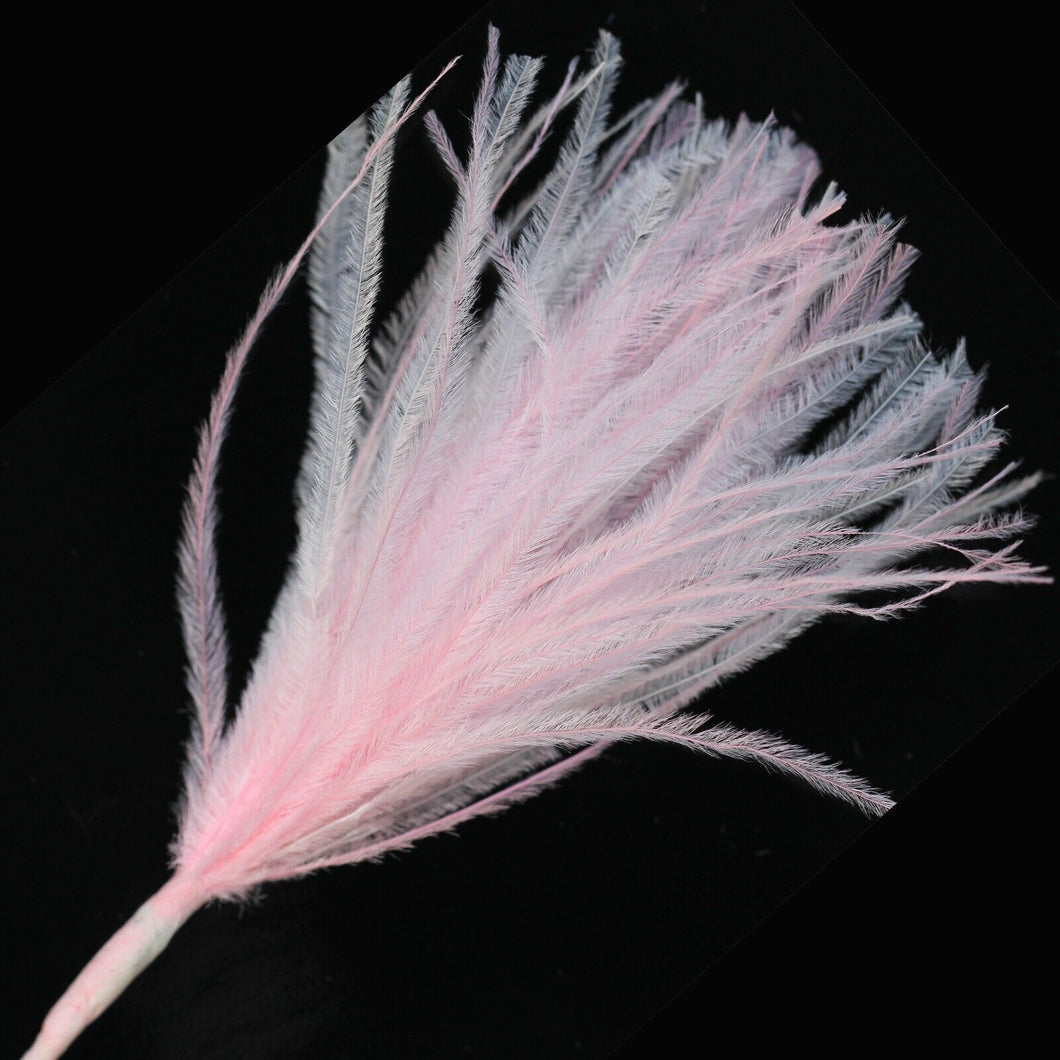 White & Pale Pink Wisps Ostrich Feathers