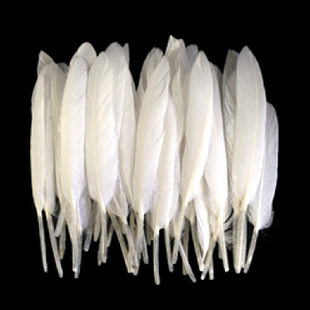 White Duck Feathers