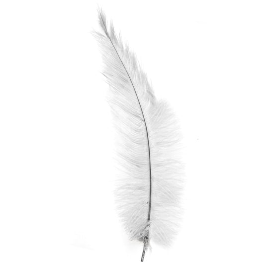 Diamante Crafts Ostrich Feathers 10" - 12" / 25cm- 30cm - Plume Fluffy - White