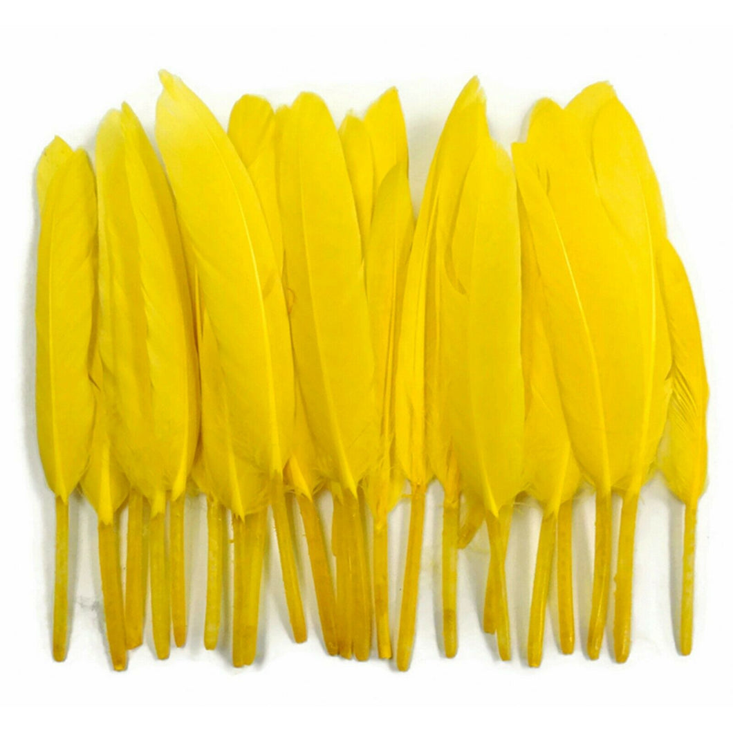 Yellow Duck Feathers